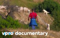 Greece-is-the-answer-VPRO-documentary-2013