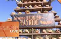 California Live is Here for the Boos at the LA Haunted Hayride | California Live | NBCLA