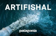 Full Film: Artifishal | The Fight to Save Wild Salmon